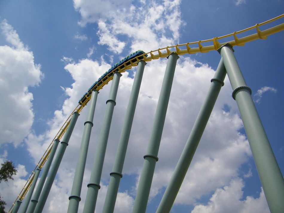 Steel Eel photo from SeaWorld San Antonio