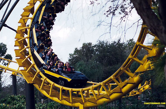 Python photo from Busch Gardens Tampa