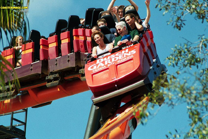 Scorpion photo from Busch Gardens Tampa