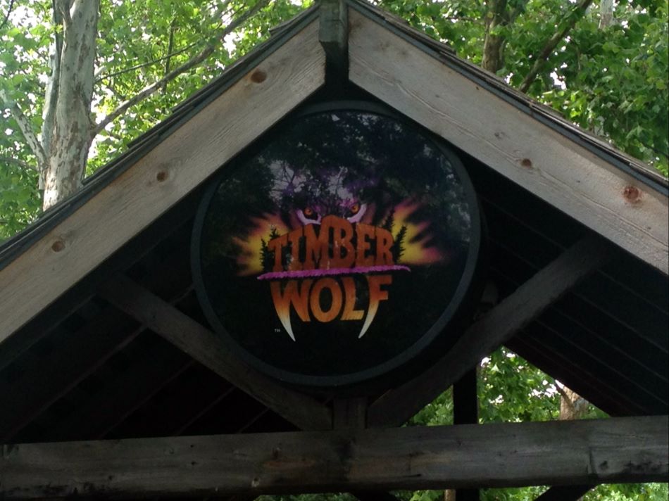 Timber Wolf photo from Worlds of Fun
