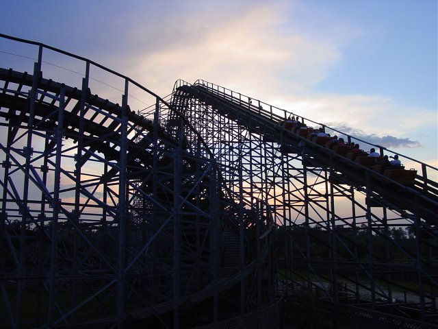 Cheetah photo from Wild Adventures