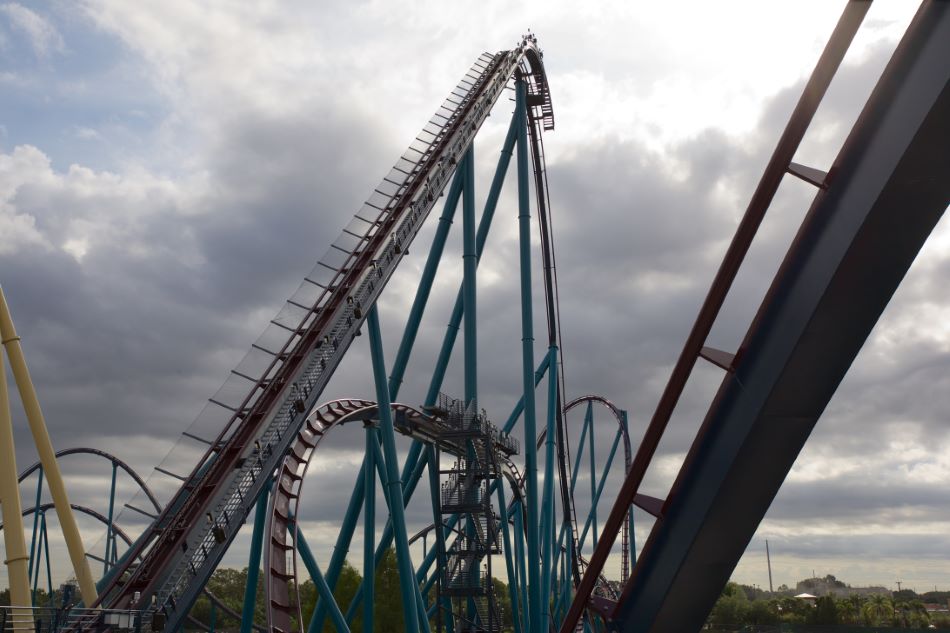 Mako photo from SeaWorld Orlando