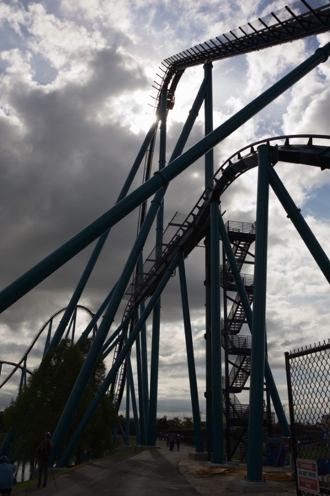 Mako photo from SeaWorld Orlando