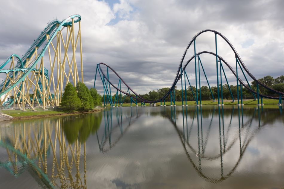 Mako photo from SeaWorld Orlando