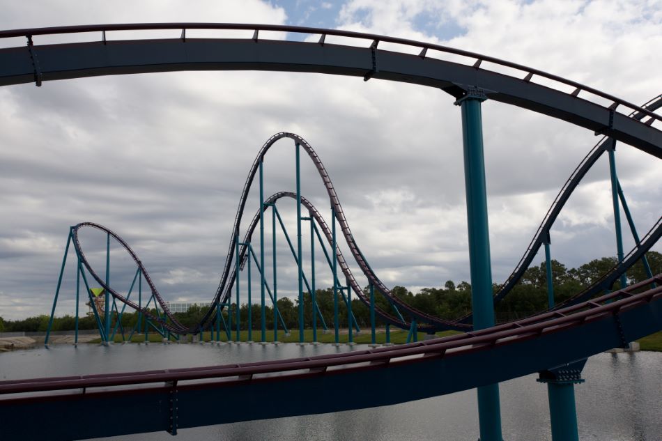 Mako photo from SeaWorld Orlando