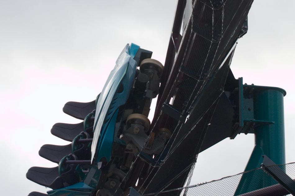 Mako photo from SeaWorld Orlando