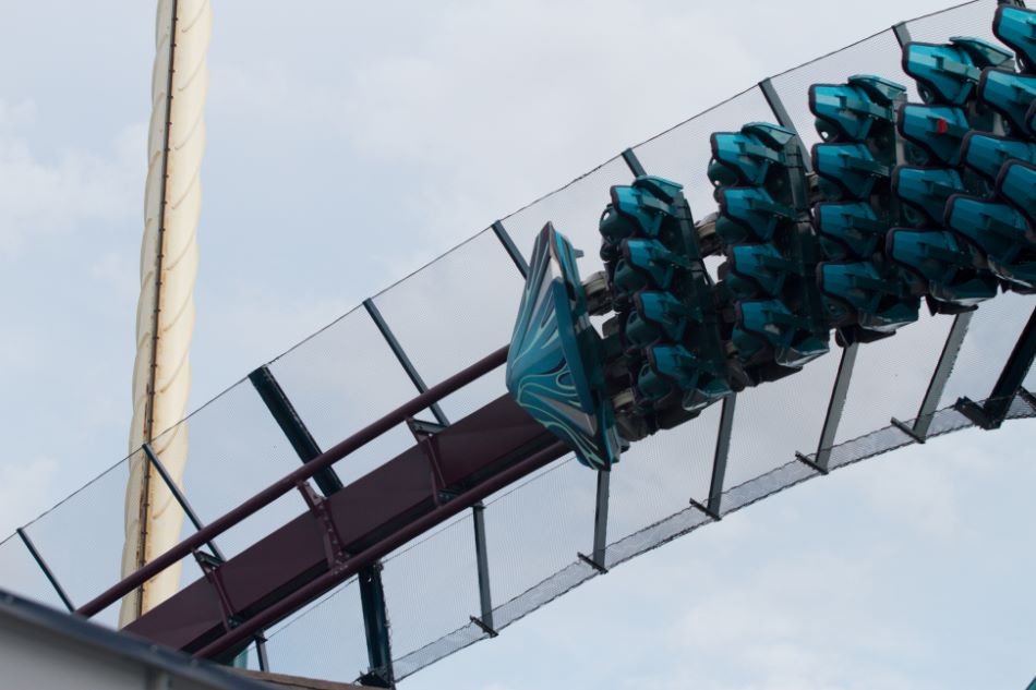 Mako photo from SeaWorld Orlando