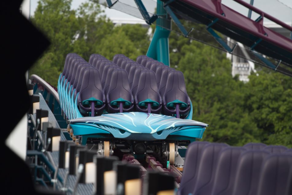 Mako photo from SeaWorld Orlando