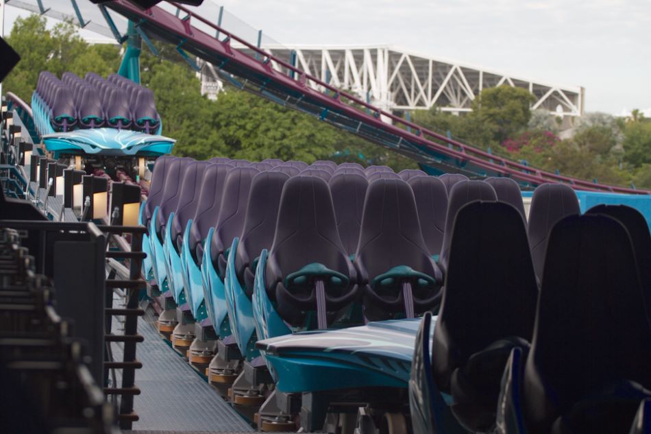 Mako photo from SeaWorld Orlando