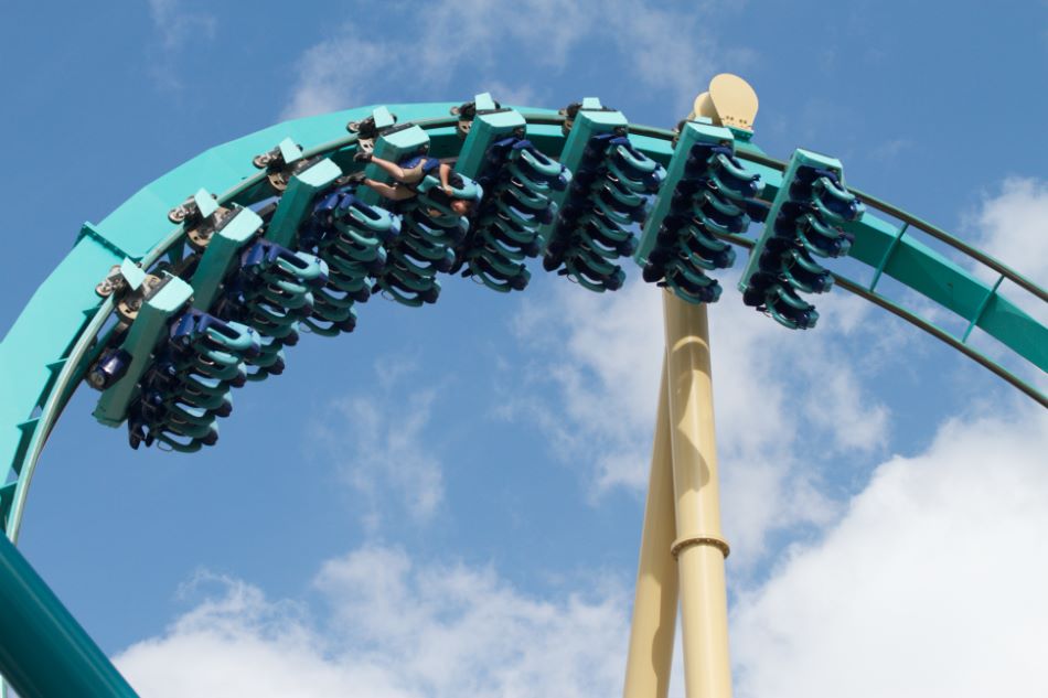 Kraken photo from SeaWorld Orlando