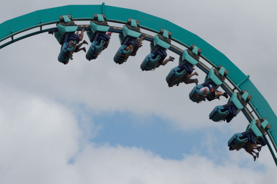 Kraken photo from SeaWorld Orlando