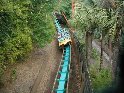 Kumba photo from Busch Gardens Tampa