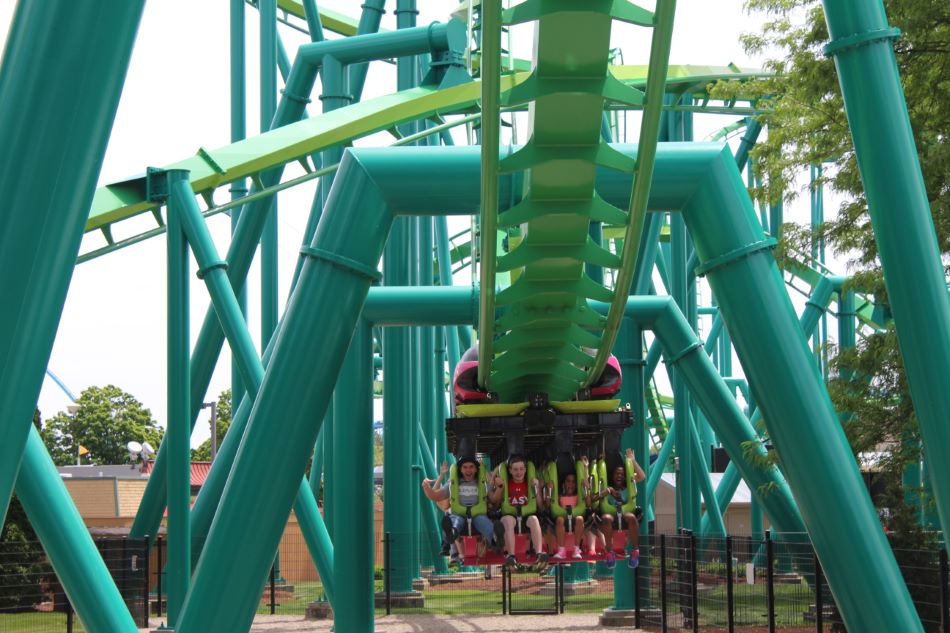 Raptor photo from Cedar Point