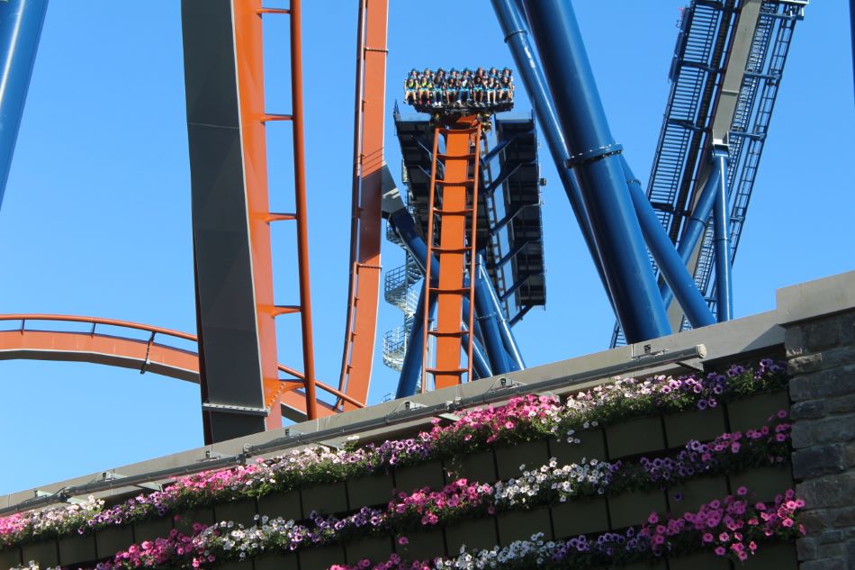 Valravn photo from Cedar Point