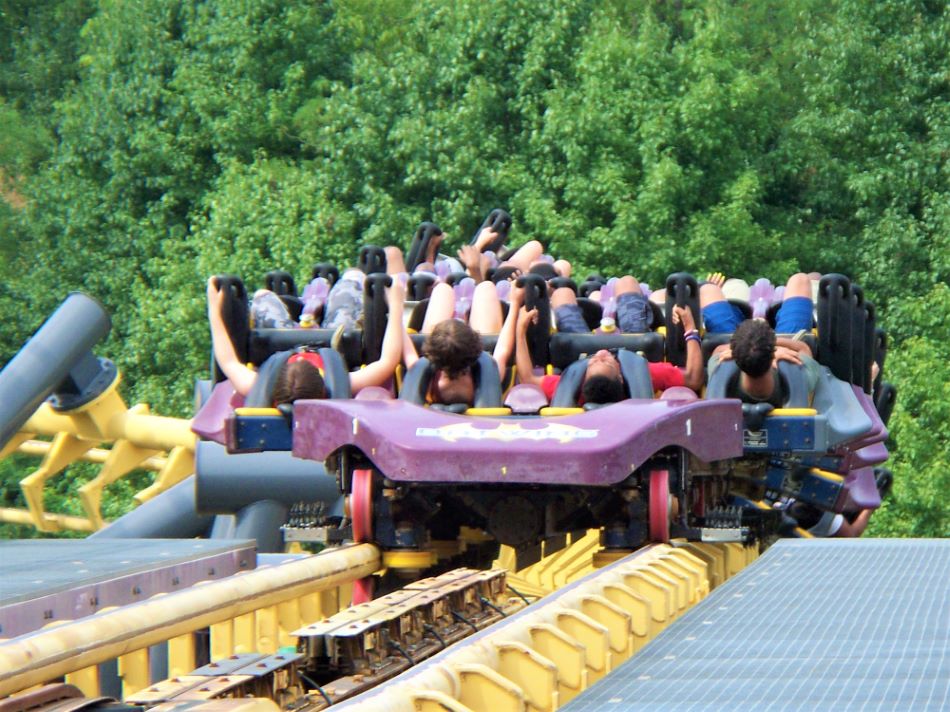 Batwing photo from Six Flags America CoasterBuzz