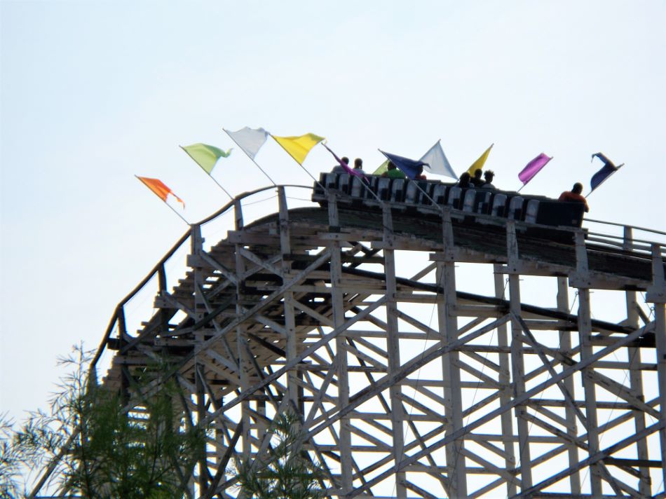 Wild One photo from Six Flags America