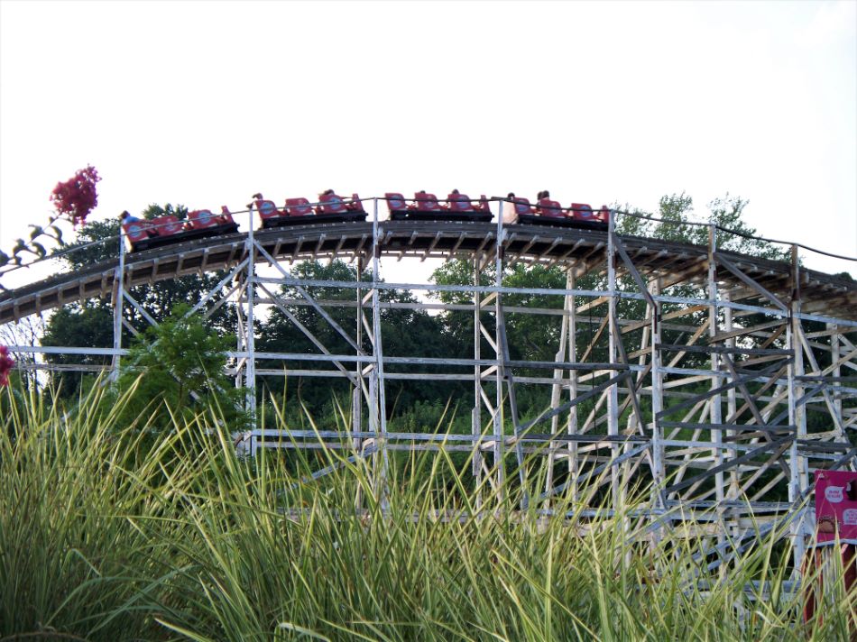 Wild One photo from Six Flags America