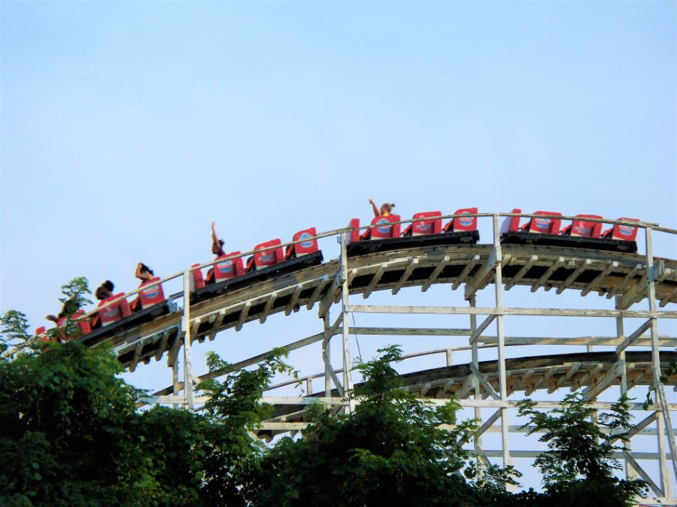 Wild One photo from Six Flags America