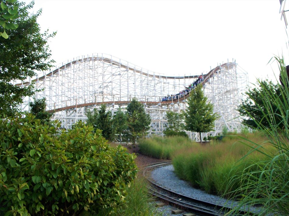 Wild One photo from Six Flags America