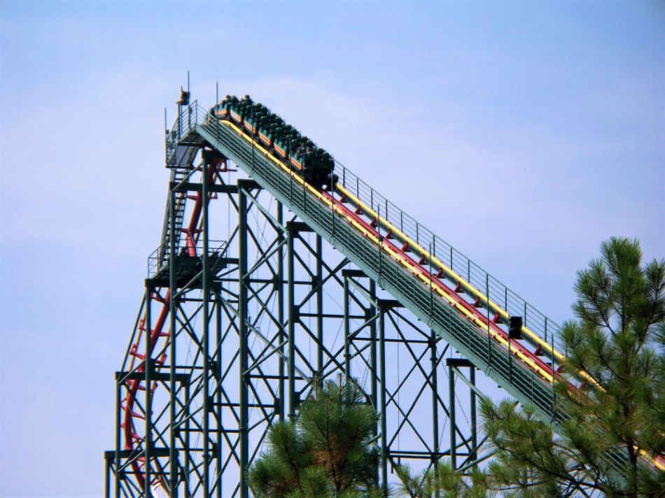 Anaconda photo from Kings Dominion