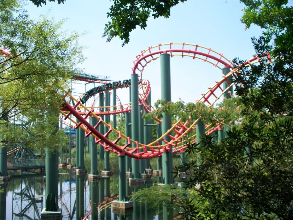 Anaconda photo from Kings Dominion