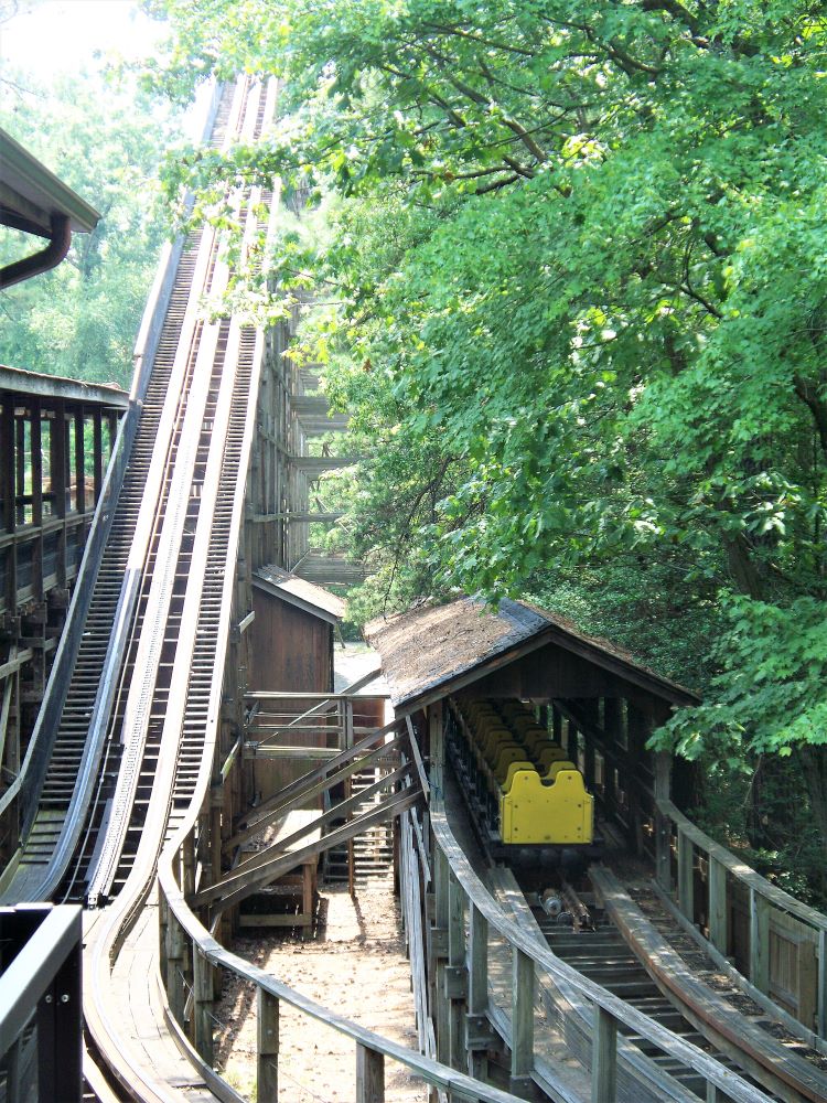 Grizzly, The photo from Kings Dominion