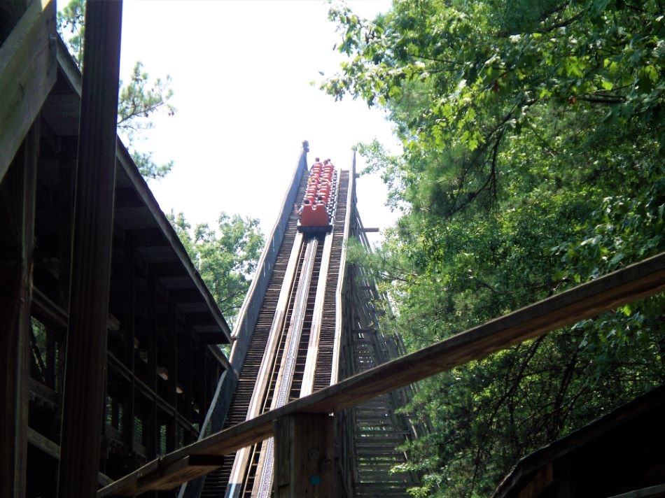 Grizzly, The photo from Kings Dominion