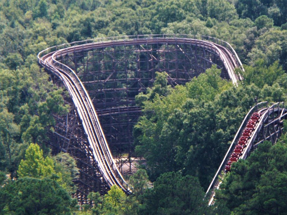 Grizzly, The photo from Kings Dominion