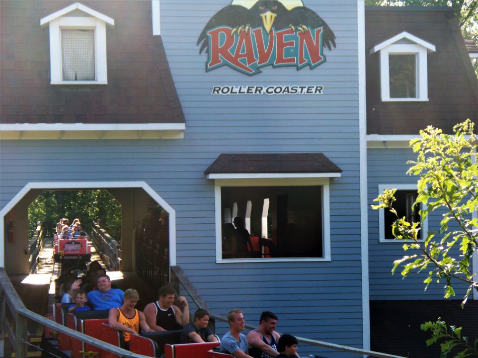 Raven photo from Holiday World