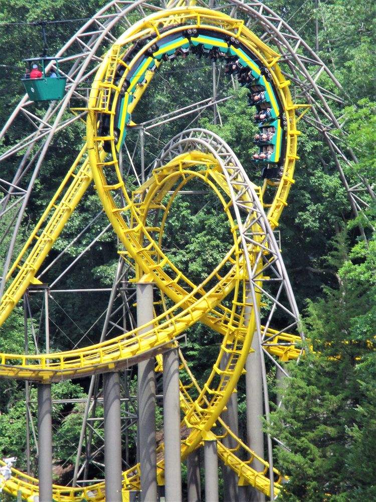 Loch Ness Monster, The photo from Busch Gardens Williamsburg