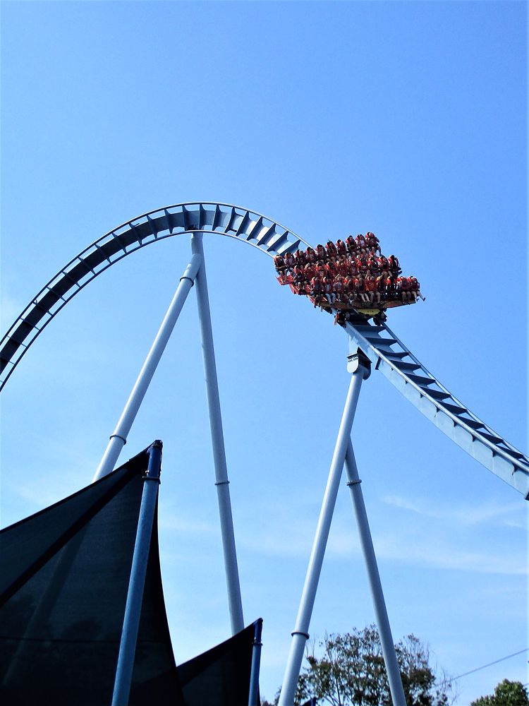 Griffon photo from Busch Gardens Williamsburg