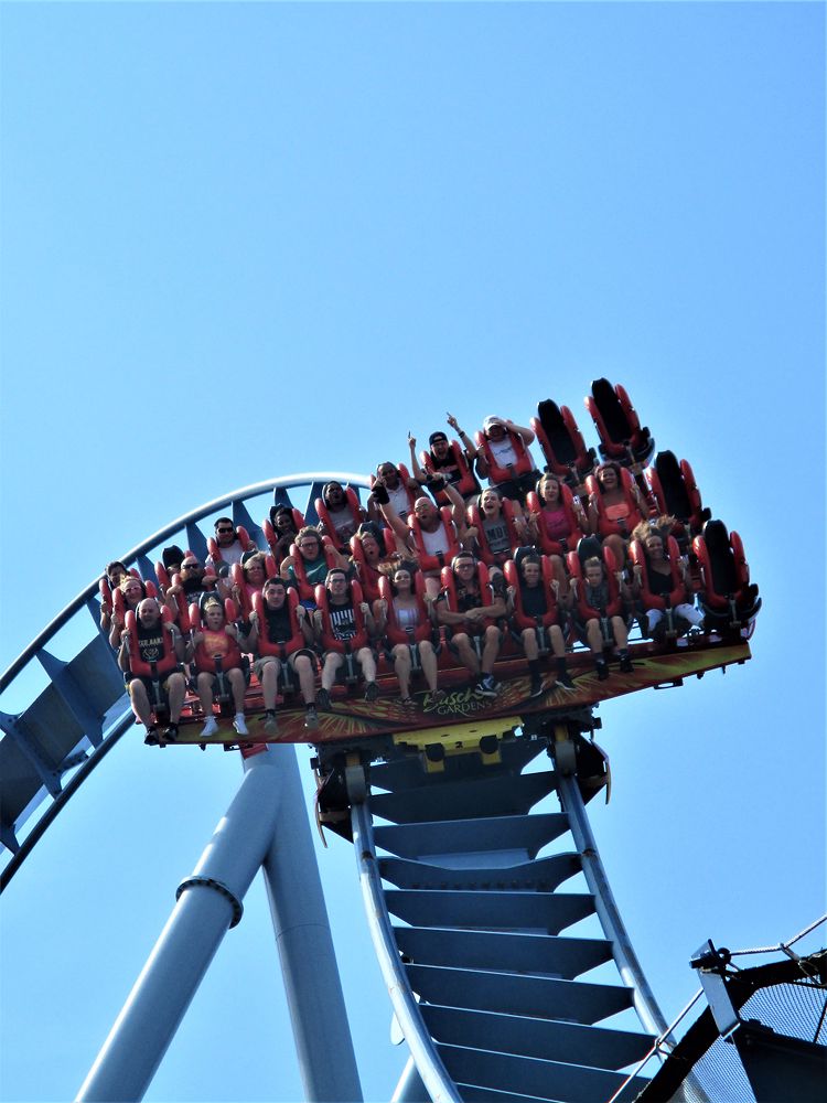 Griffon photo from Busch Gardens Williamsburg