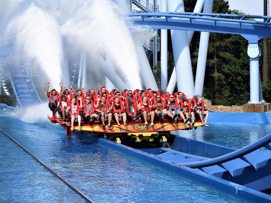 Griffon photo from Busch Gardens Williamsburg