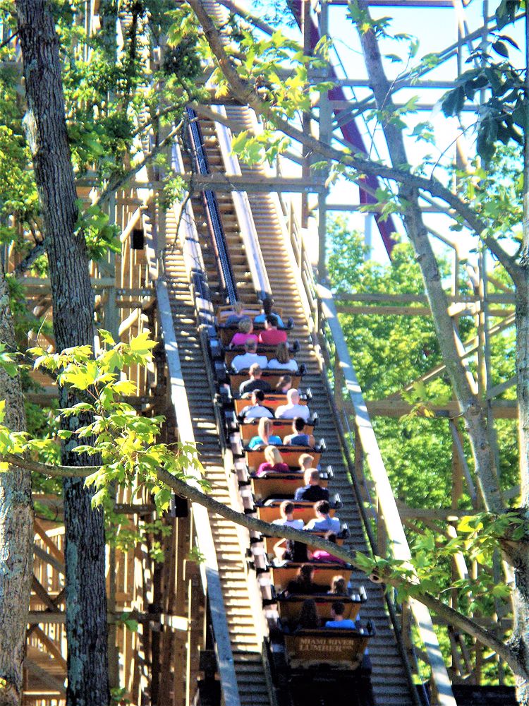 Mystic Timbers photo from Kings Island