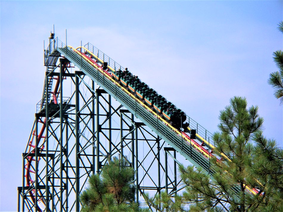 Anaconda photo from Kings Dominion