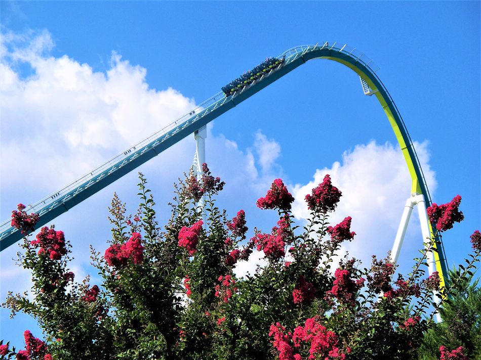 Fury 325 photo from Carowinds