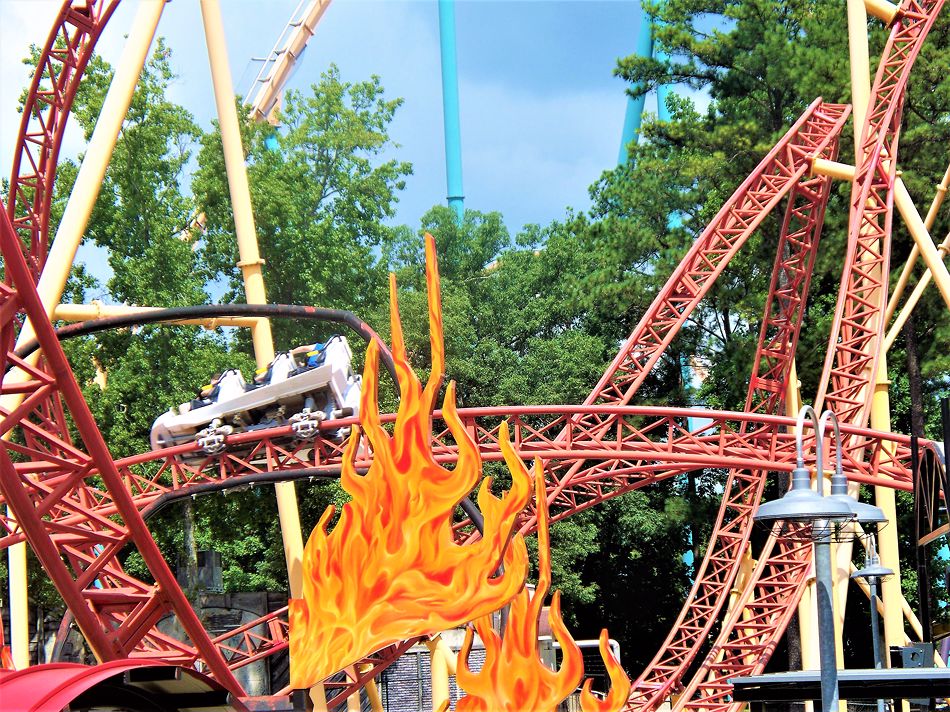 Dare Devil Dive photo from Six Flags Over Georgia