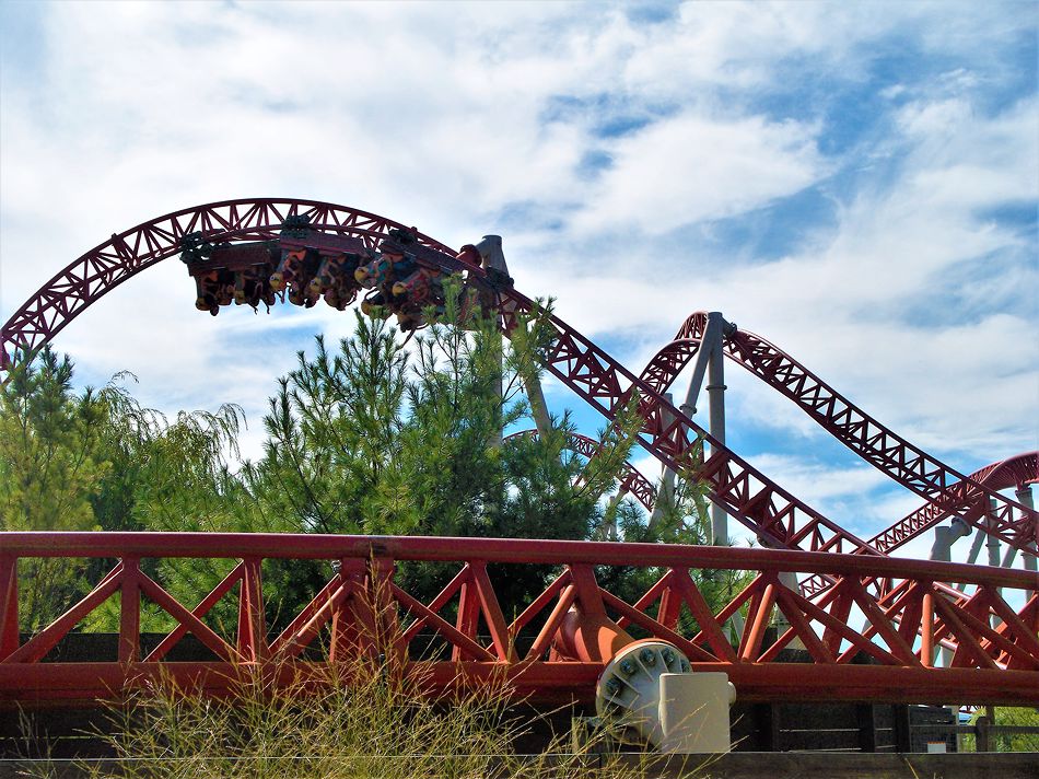 Maverick photo from Cedar Point