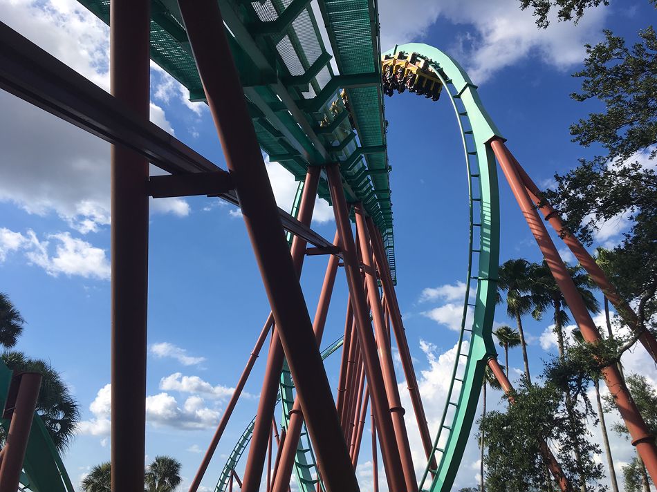 Kumba Photo From Busch Gardens Tampa Coasterbuzz