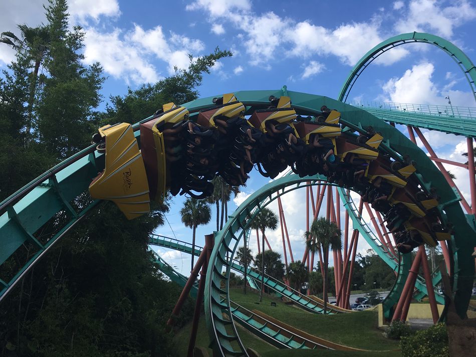 Kumba photo from Busch Gardens Tampa