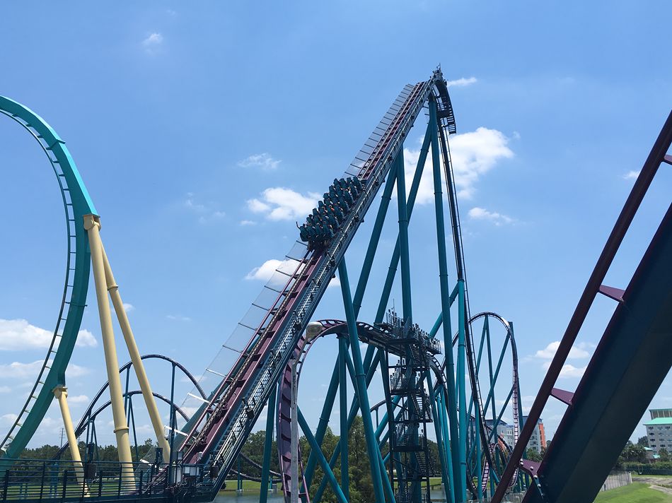 Mako photo from SeaWorld Orlando