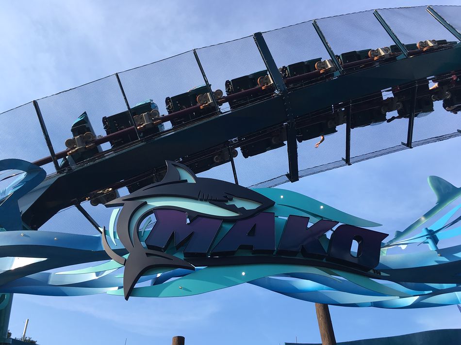 Mako photo from SeaWorld Orlando