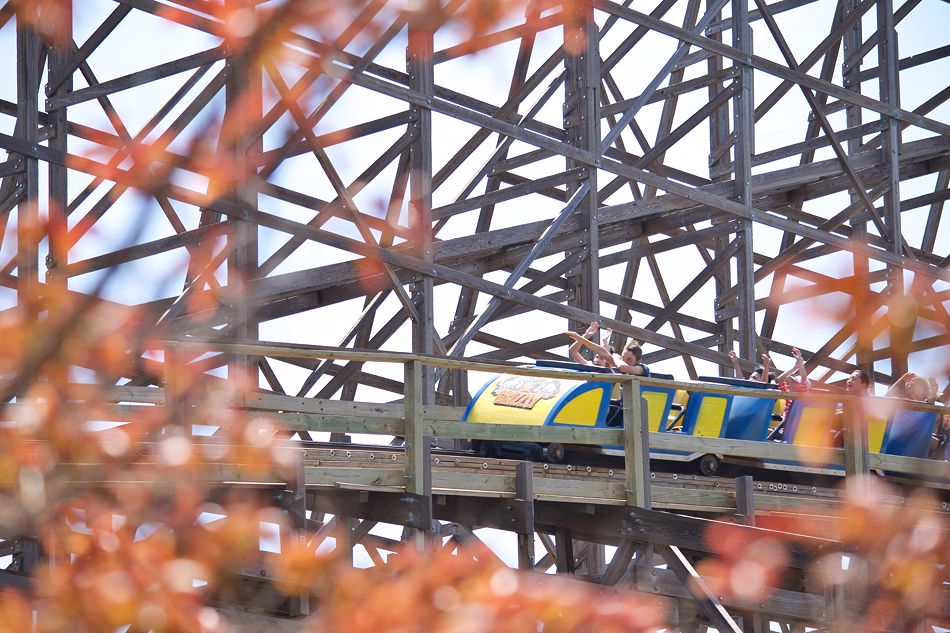 Grizzly, The photo from California's Great America