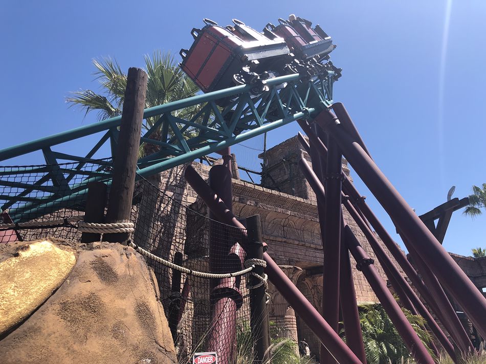 Cobra's Curse photo from Busch Gardens Tampa