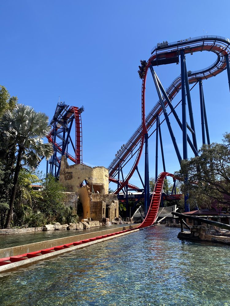 SheiKra photo from Busch Gardens Tampa