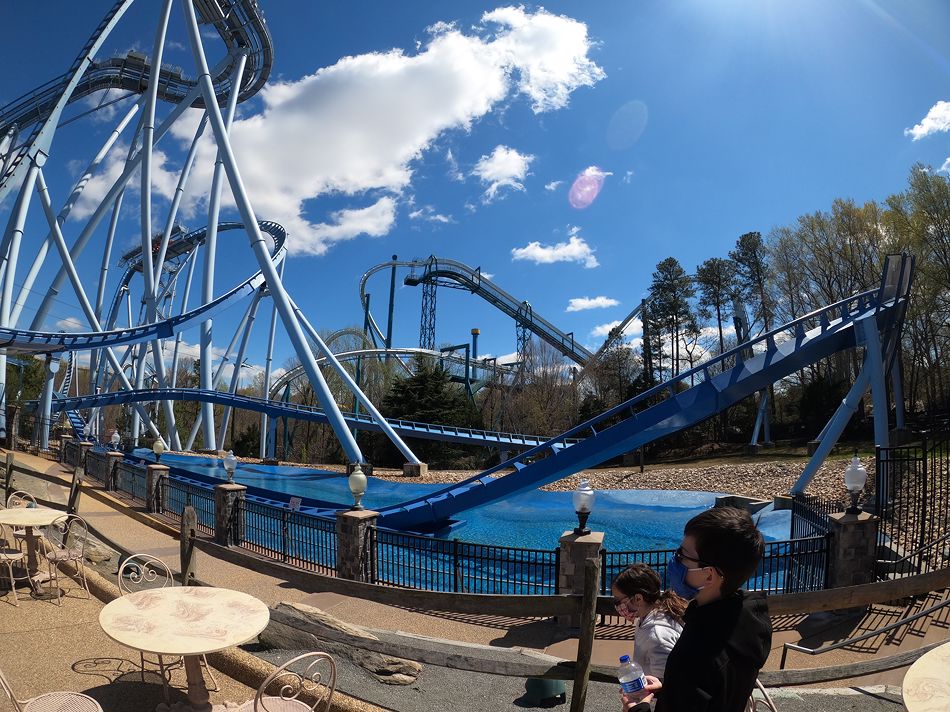 Griffon photo from Busch Gardens Williamsburg