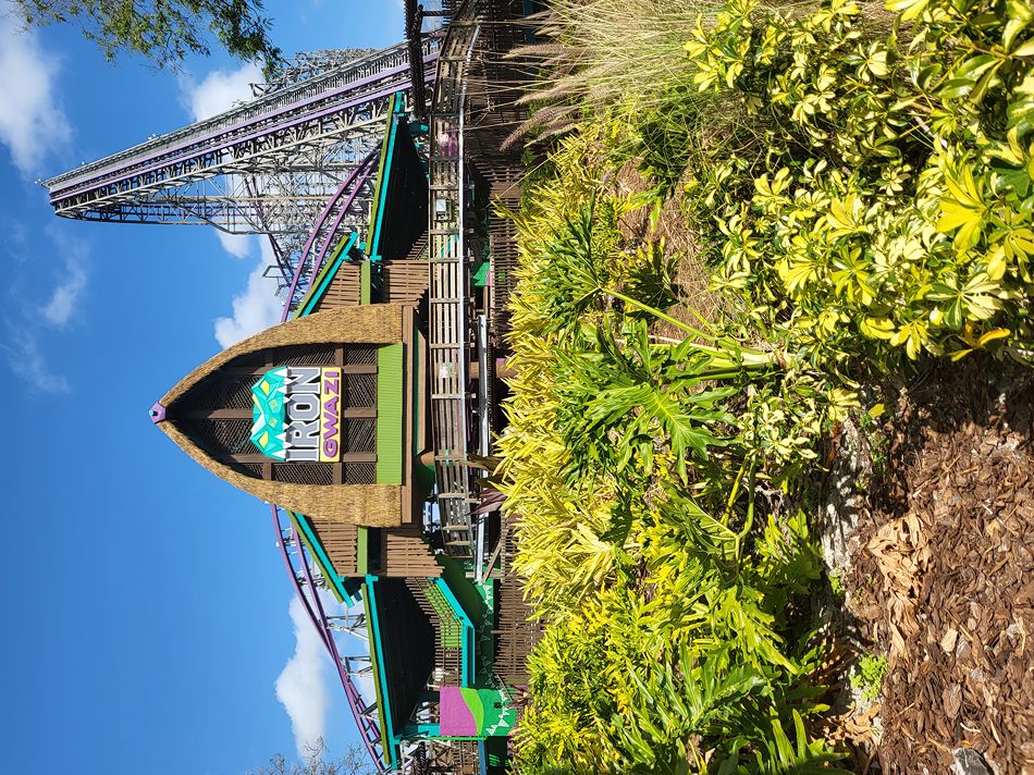 Iron Gwazi photo from Busch Gardens Tampa