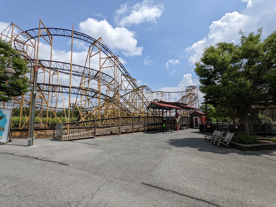 Wildcat photo from Adventure Park USA