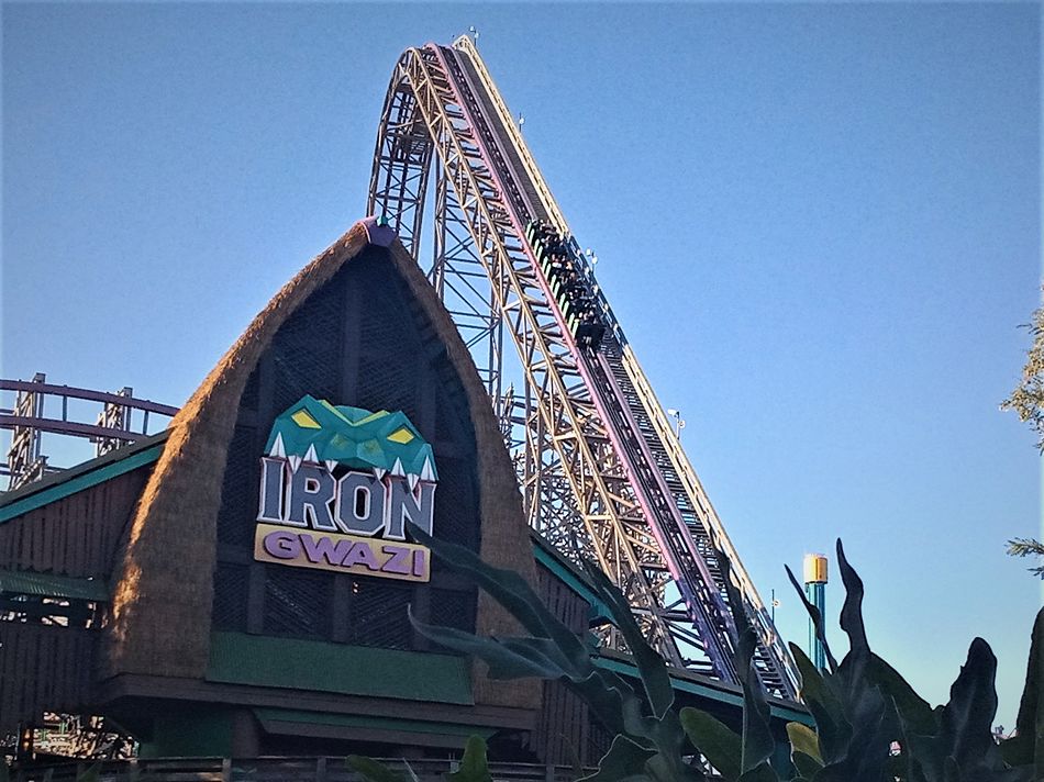 Iron Gwazi photo from Busch Gardens Tampa