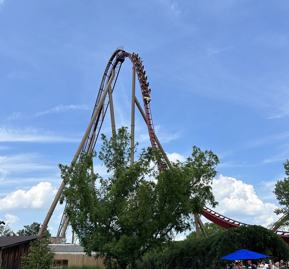 Diamondback photo from Kings Island